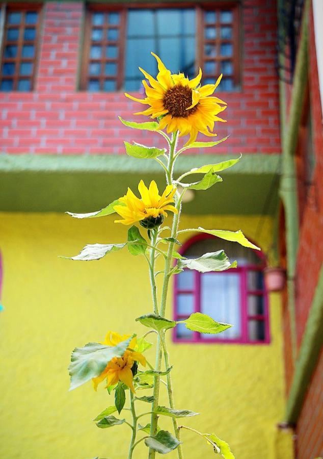 Hostal Inti Raymi Backpackers Баньйос Екстер'єр фото
